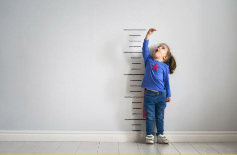 Kidwise- 5 Nutritional Food Groups to Focus on During the Critical Second Growth Spurt